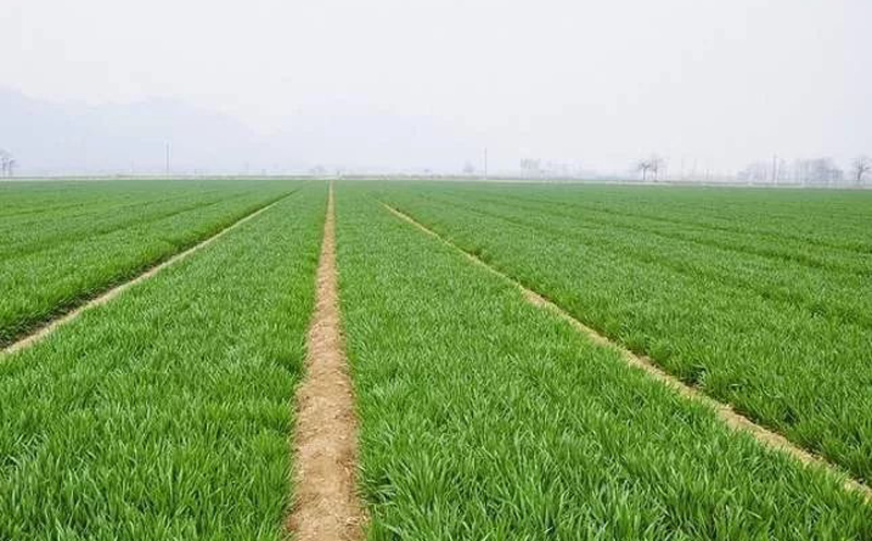 大咖专访 | 赵一丁：企业要贯彻落实绿色发展的理念，走上智慧农业的道路！