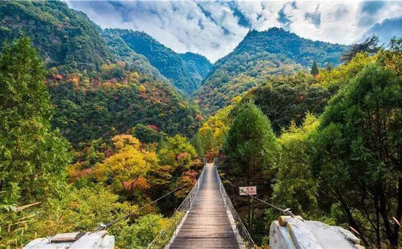 陕西自然保护区面积达1.15万平方公里，保护生态系统的稳定性，维护生物多样性